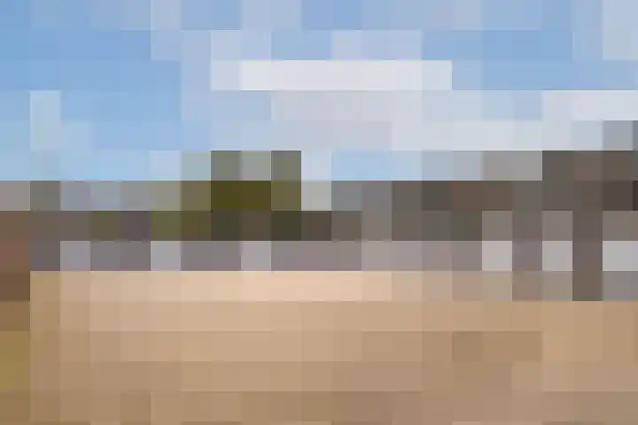 Kievitstraat 32 Lisse thumbnail 31