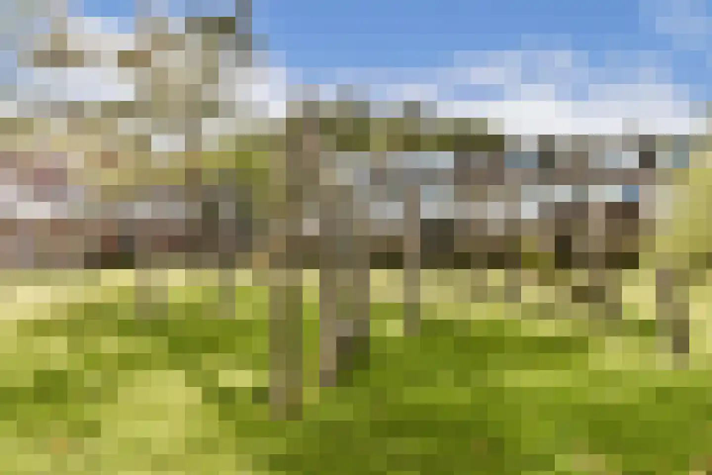Kievitstraat 32 Lisse thumbnail 34