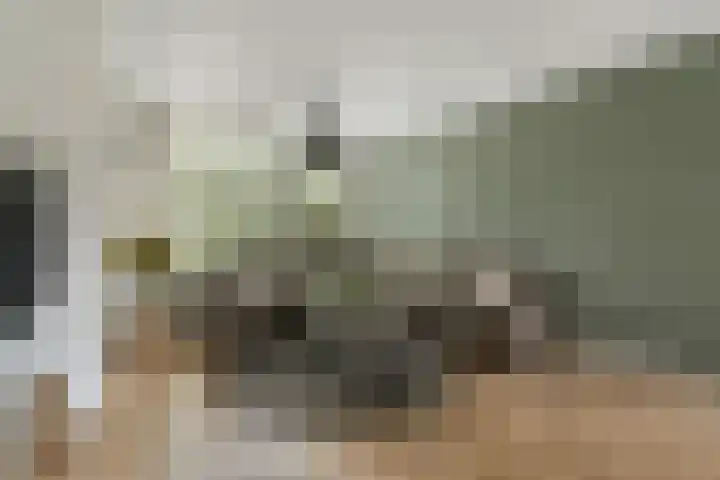 Kievitstraat 32 Lisse thumbnail 5