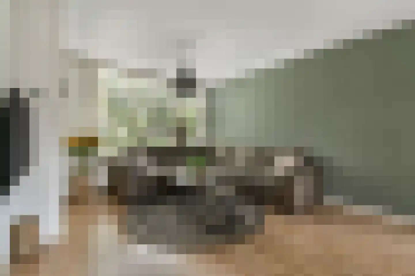 Kievitstraat 32 Lisse thumbnail 5