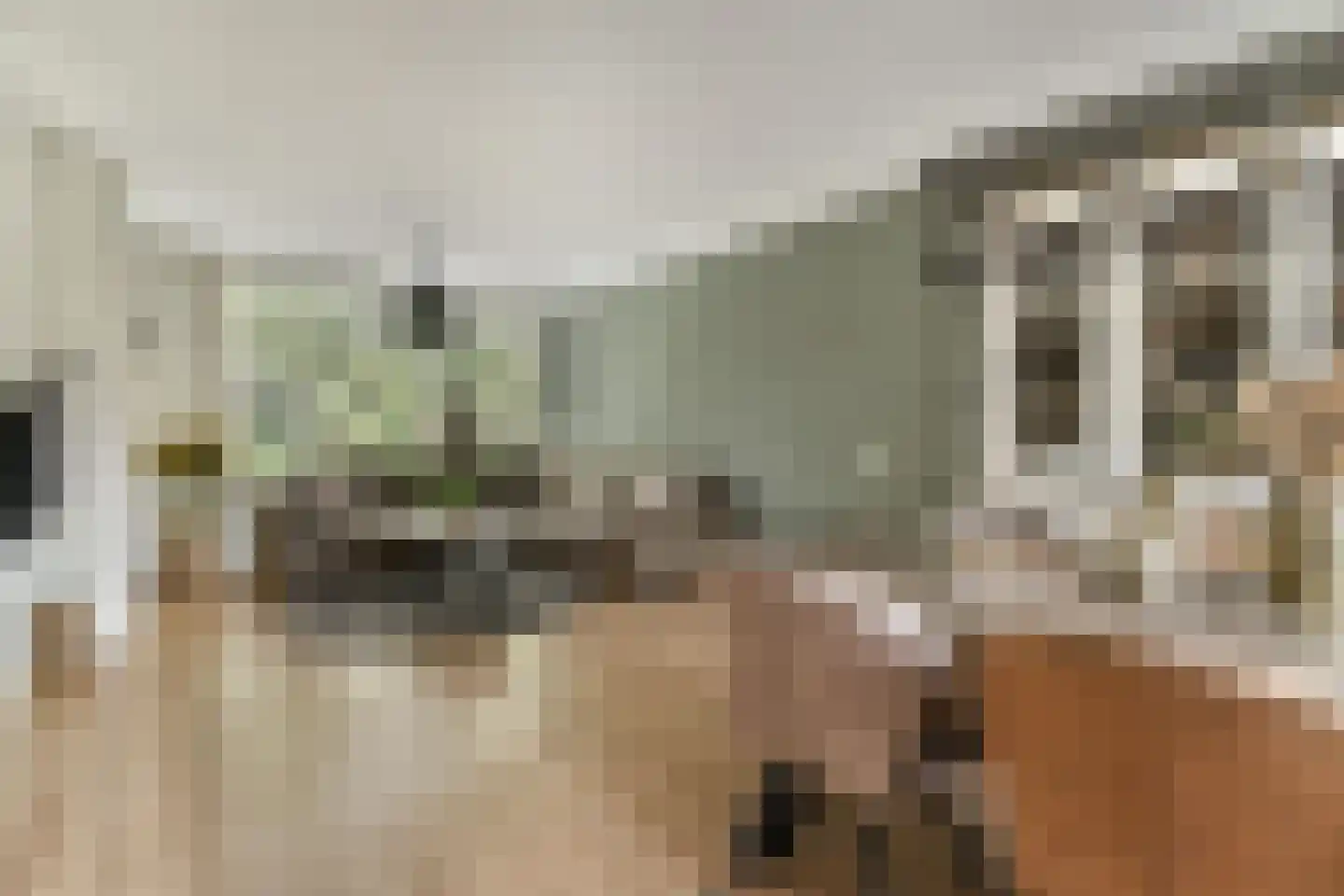 Kievitstraat 32 Lisse thumbnail 6