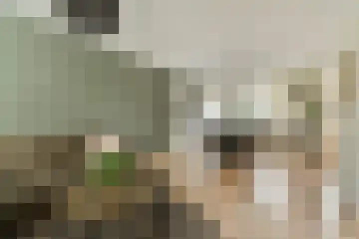 Kievitstraat 32 Lisse thumbnail 7