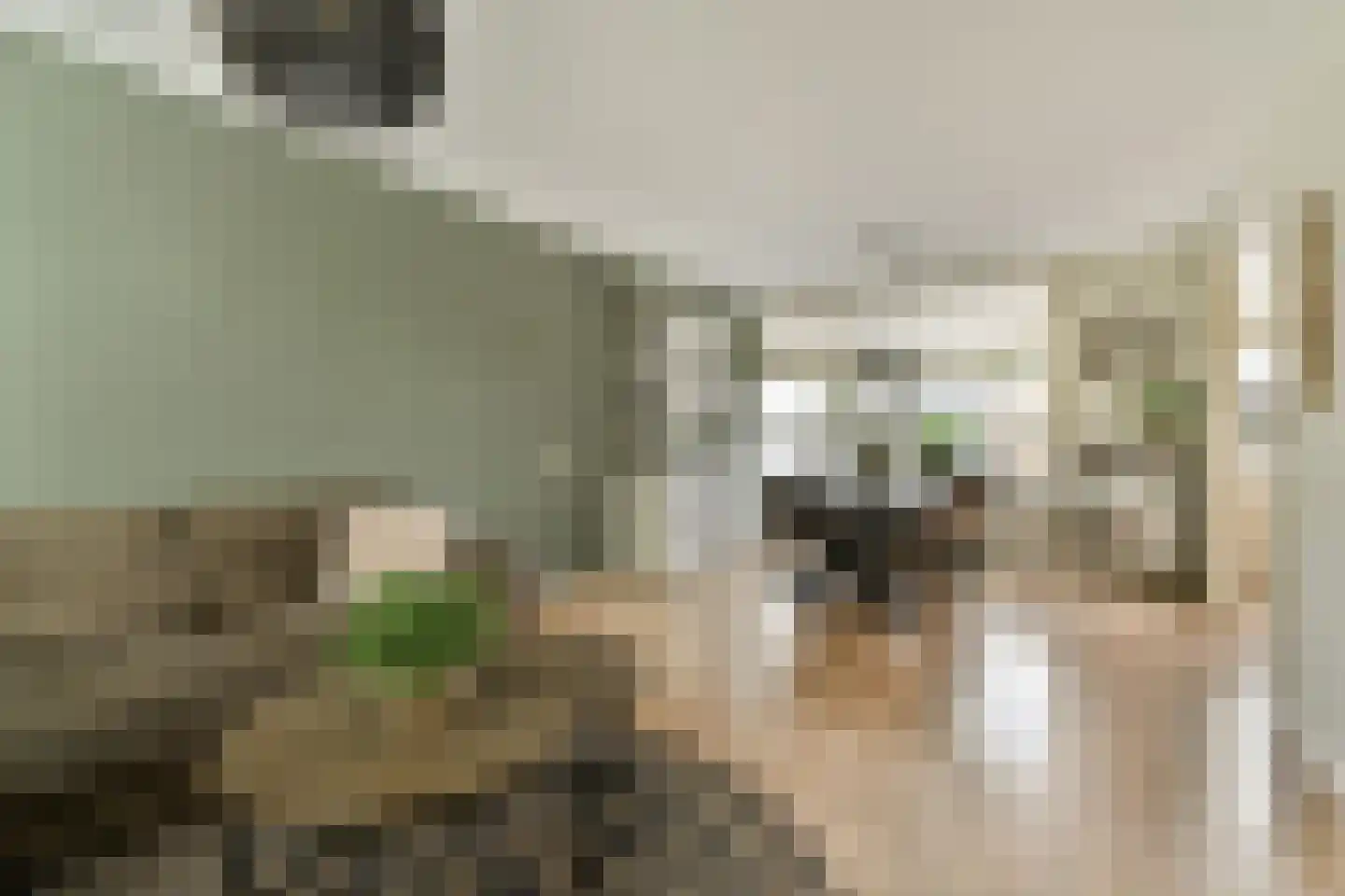Kievitstraat 32 Lisse thumbnail 7