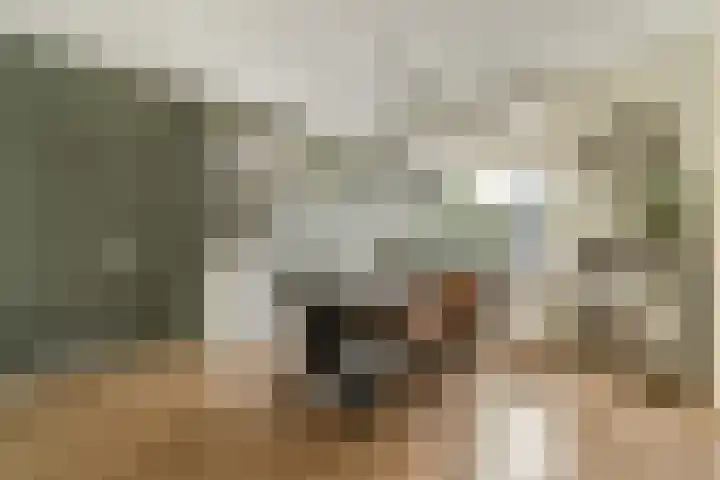 Kievitstraat 32 Lisse thumbnail 8