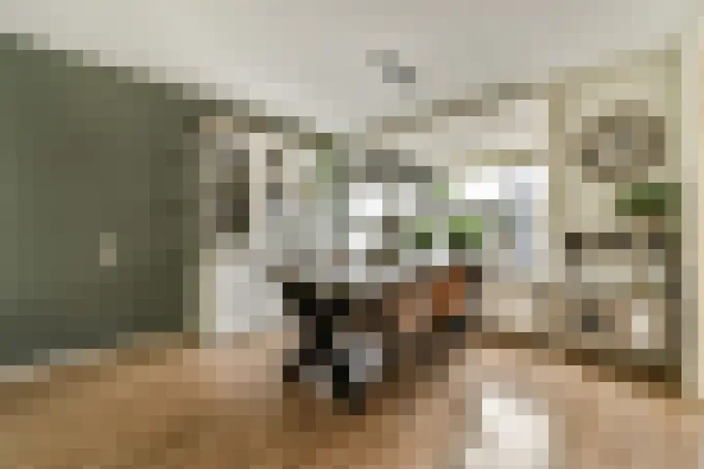 Kievitstraat 32 Lisse thumbnail 8