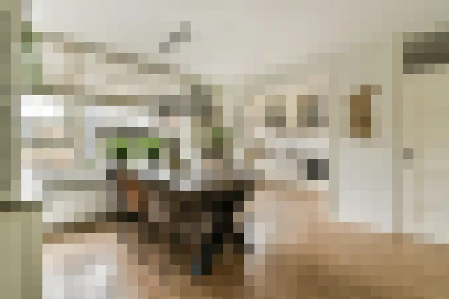 Kievitstraat 32 Lisse thumbnail 9