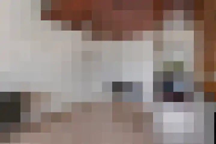 Kievitstraat 36 Honselersdijk thumbnail 10