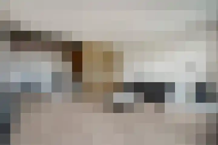 Kievitstraat 36 Honselersdijk thumbnail 13