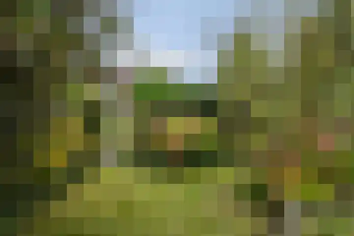 Kievitstraat 36 Honselersdijk thumbnail 26