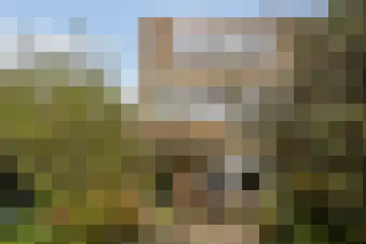 Kievitstraat 36 Honselersdijk thumbnail 27