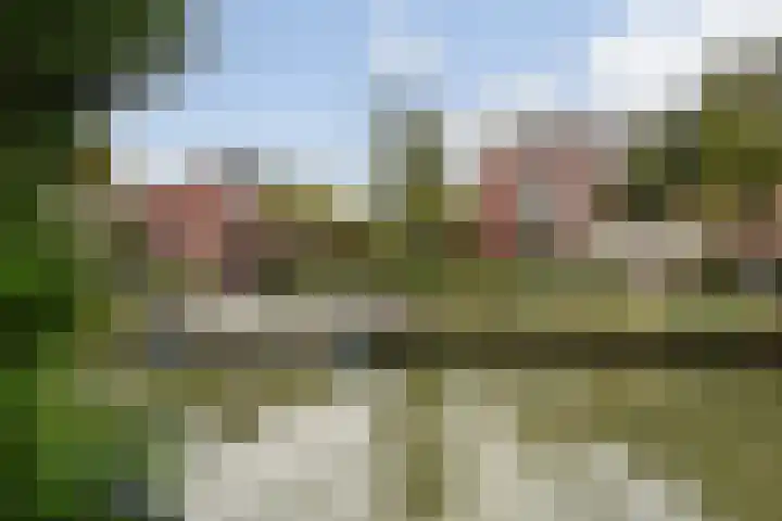 Kievitstraat 36 Honselersdijk thumbnail 32