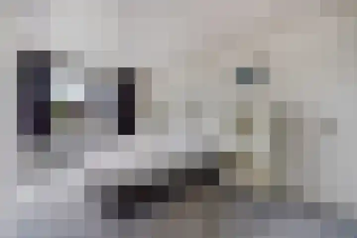 Kievitstraat 36 Honselersdijk thumbnail 34