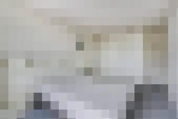 Kievitstraat 36 Honselersdijk thumbnail 35