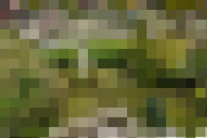 Kievitstraat 36 Honselersdijk thumbnail 37