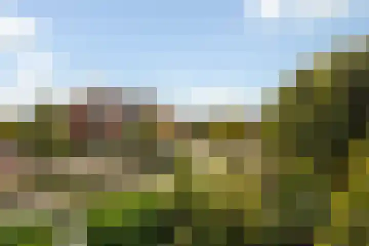 Kievitstraat 36 Honselersdijk thumbnail 38
