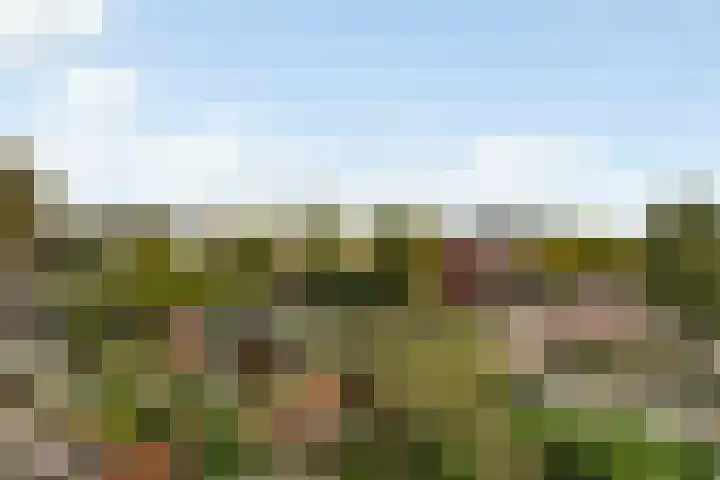 Kievitstraat 36 Honselersdijk thumbnail 39