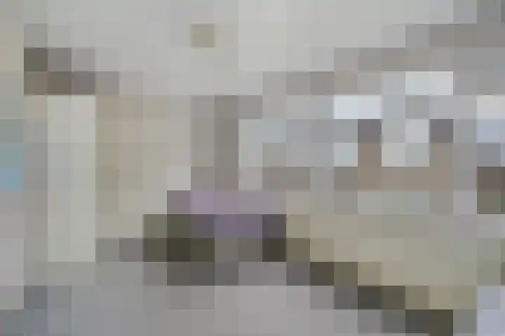 Kievitstraat 36 Honselersdijk thumbnail 44