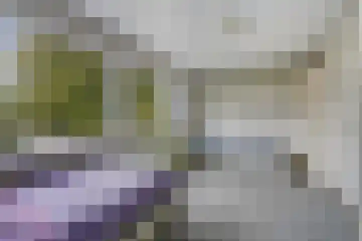 Kievitstraat 36 Honselersdijk thumbnail 45