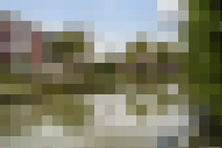 Kievitstraat 36 Honselersdijk thumbnail 5