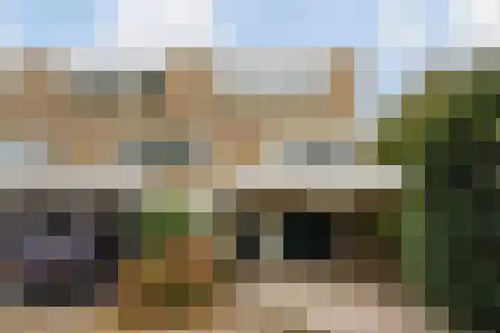 Kievitstraat 36 Honselersdijk thumbnail 54