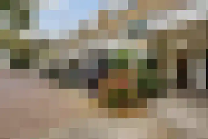 Kievitstraat 36 Honselersdijk thumbnail 55