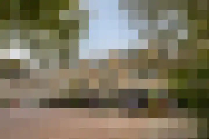 Kievitstraat 36 Honselersdijk thumbnail 56