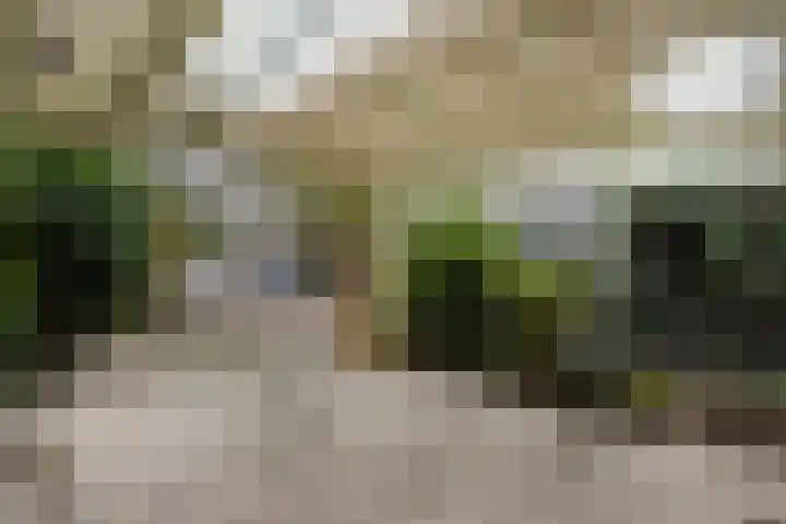 Kievitstraat 36 Honselersdijk thumbnail 6