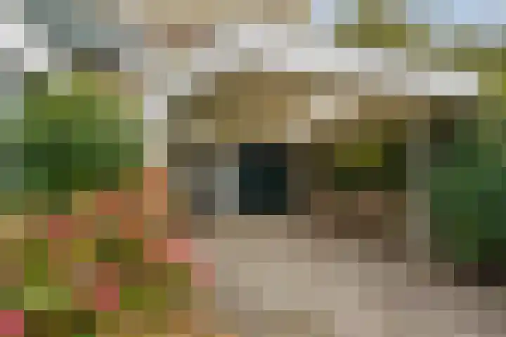 Kievitstraat 36 Honselersdijk thumbnail 7
