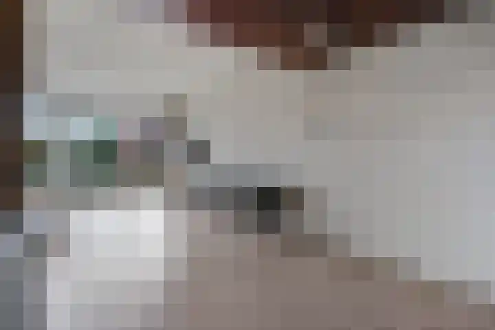 Kievitstraat 36 Honselersdijk thumbnail 9