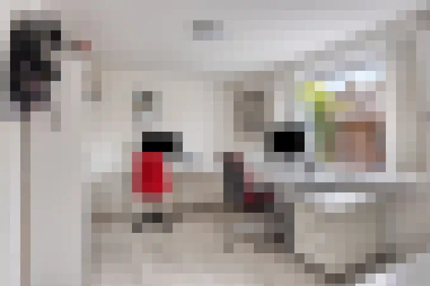 Kievitstraat 36 Ilpendam thumbnail 26