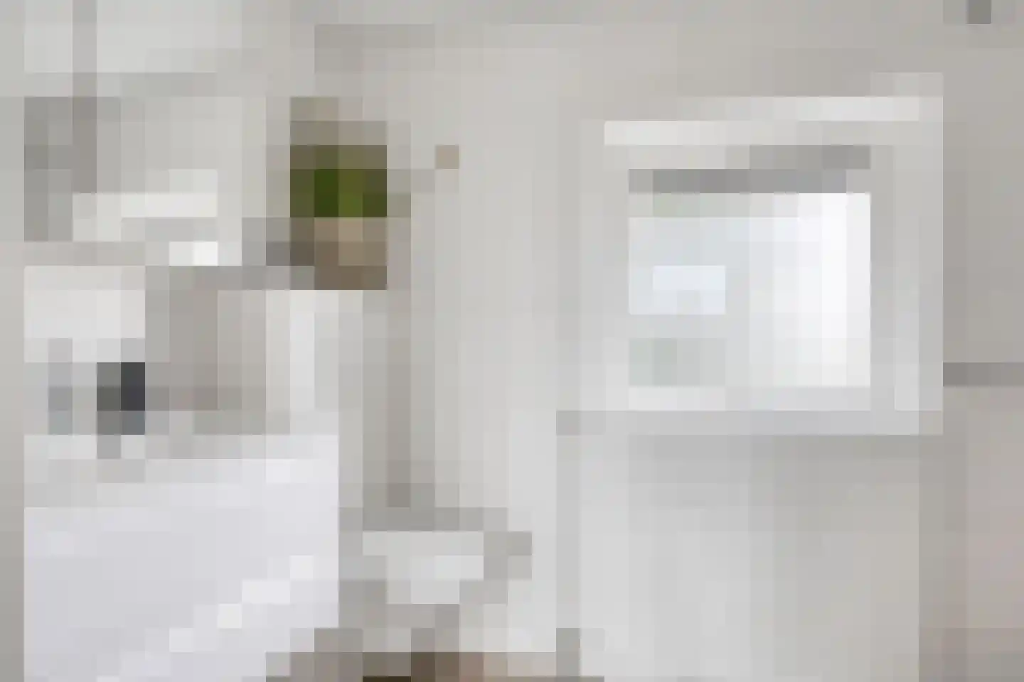 Kievitstraat 36 Ilpendam thumbnail 31