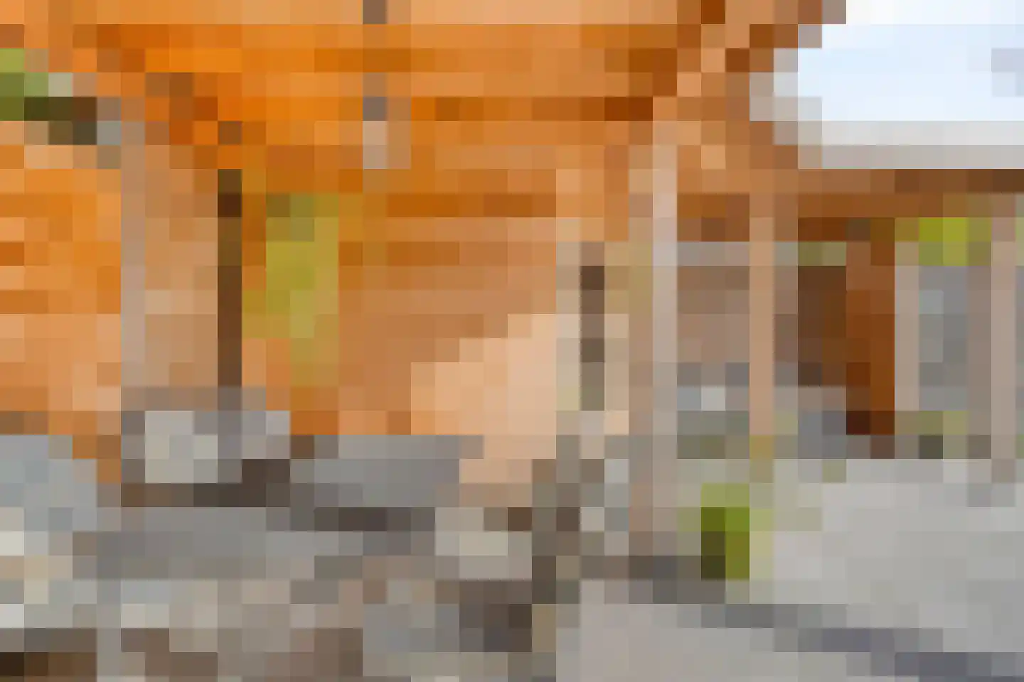 Kievitstraat 36 Ilpendam thumbnail 40