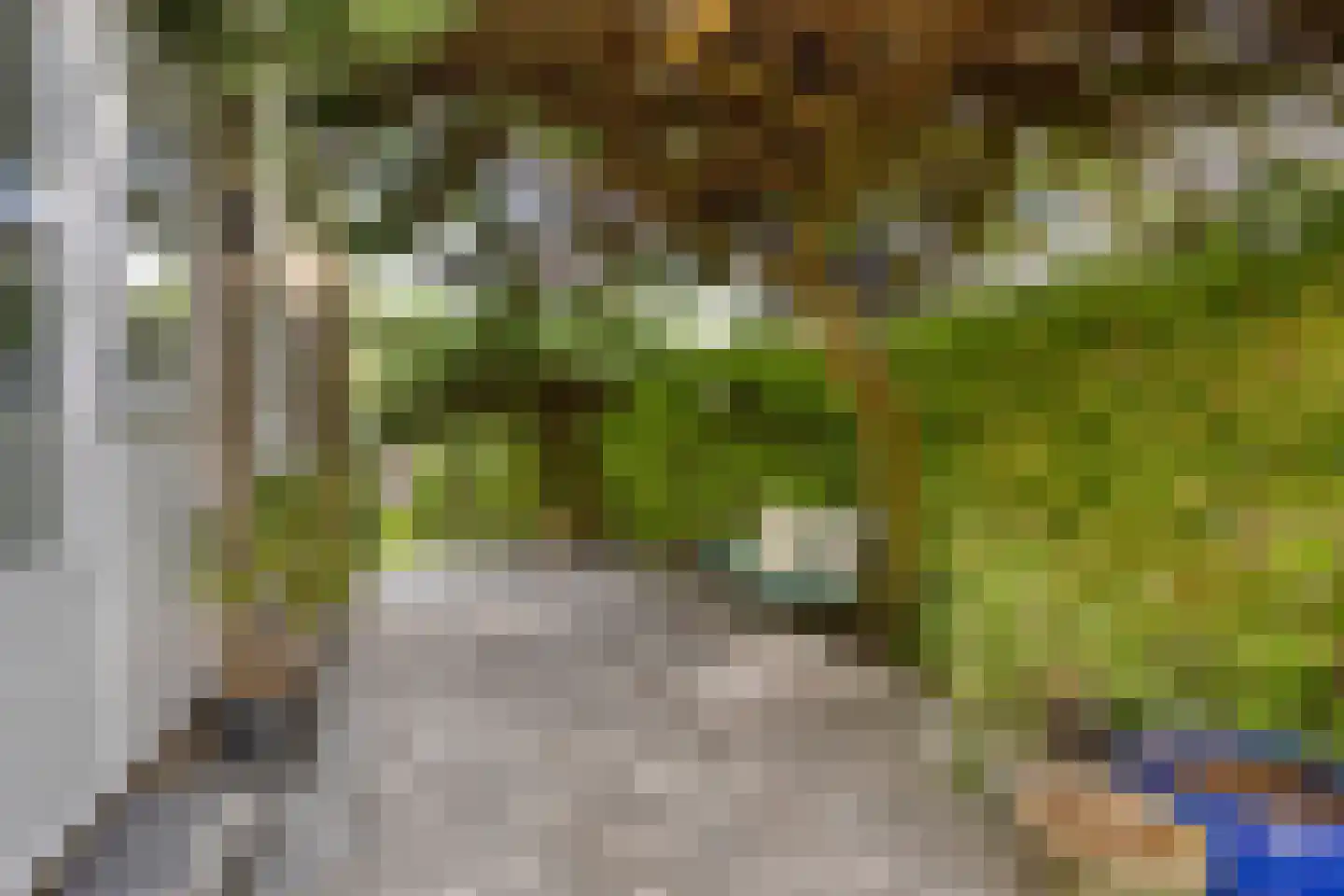 Kievitstraat 36 Ilpendam thumbnail 45