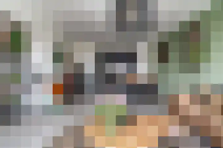 Kievitstraat 36 Leiderdorp thumbnail 17