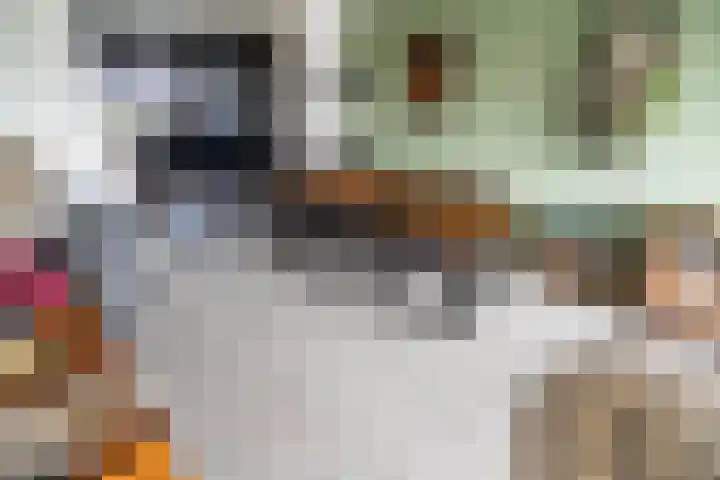 Kievitstraat 36 Leiderdorp thumbnail 18