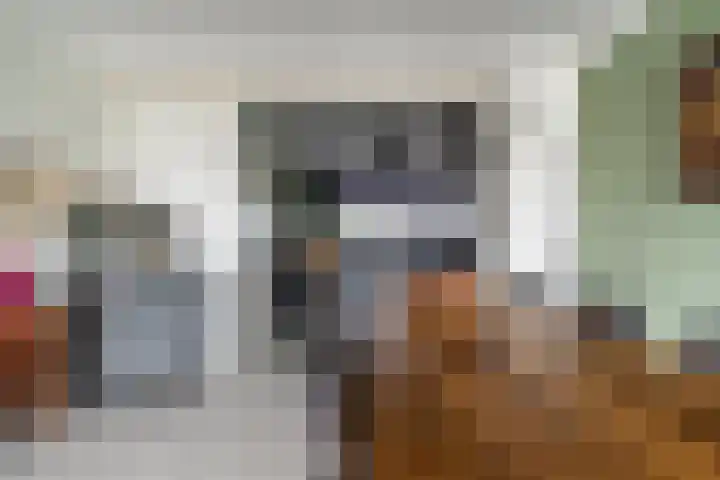 Kievitstraat 36 Leiderdorp thumbnail 19