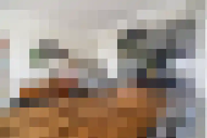 Kievitstraat 36 Leiderdorp thumbnail 20