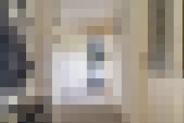 Kievitstraat 36 Leiderdorp thumbnail 25