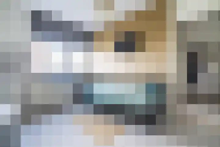 Kievitstraat 36 Leiderdorp thumbnail 26