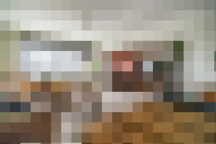 Kievitstraat 36 Leiderdorp thumbnail 8