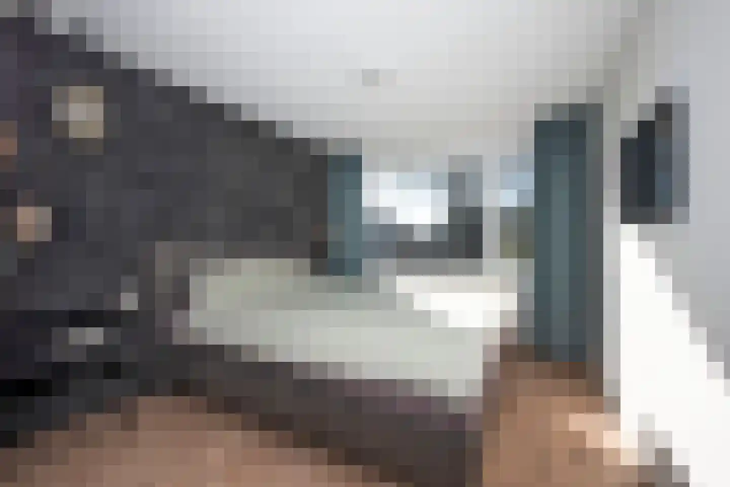 Kievitstraat 37 Delden thumbnail 15
