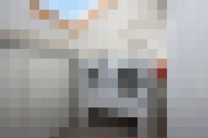 Kievitstraat 37 Delden thumbnail 27
