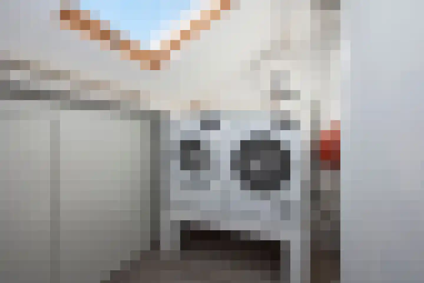 Kievitstraat 37 Delden thumbnail 27