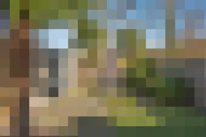 Kievitstraat 37 Delden thumbnail 31