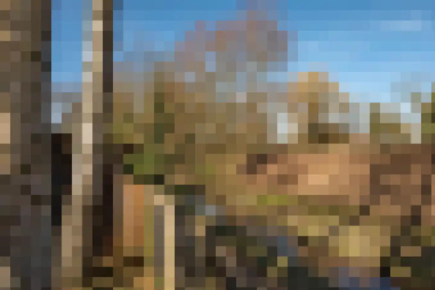 Kievitstraat 37 Delden thumbnail 34