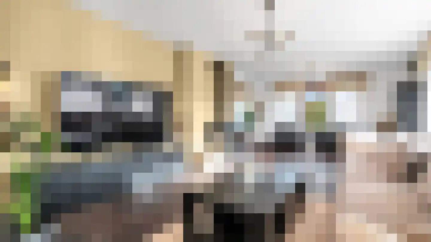 Kievitstraat 39 Arriën thumbnail 10