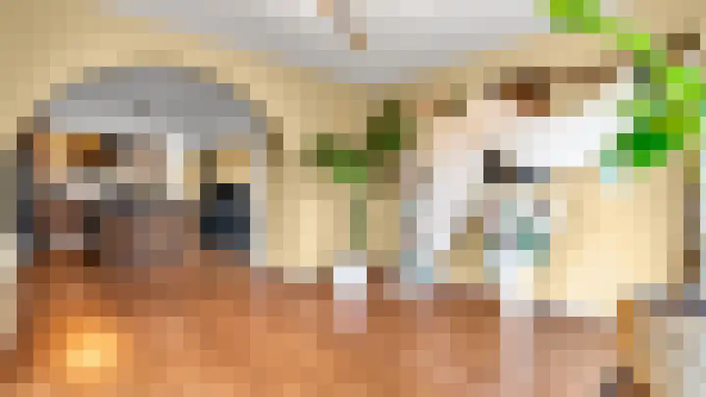 Kievitstraat 39 Arriën thumbnail 11