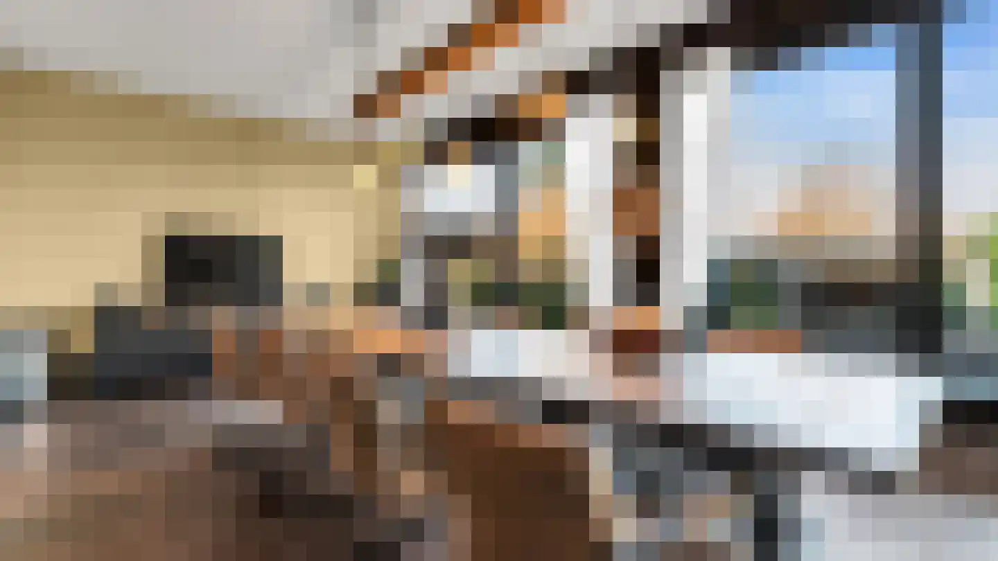 Kievitstraat 39 Arriën thumbnail 14