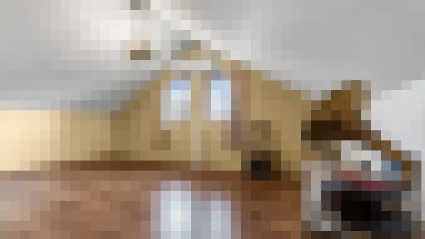 Kievitstraat 39 Arriën thumbnail 28
