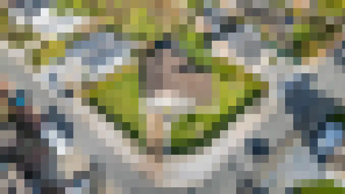 Kievitstraat 39 Arriën thumbnail 37